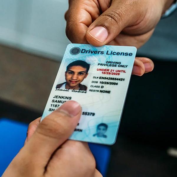 Government ID Cards