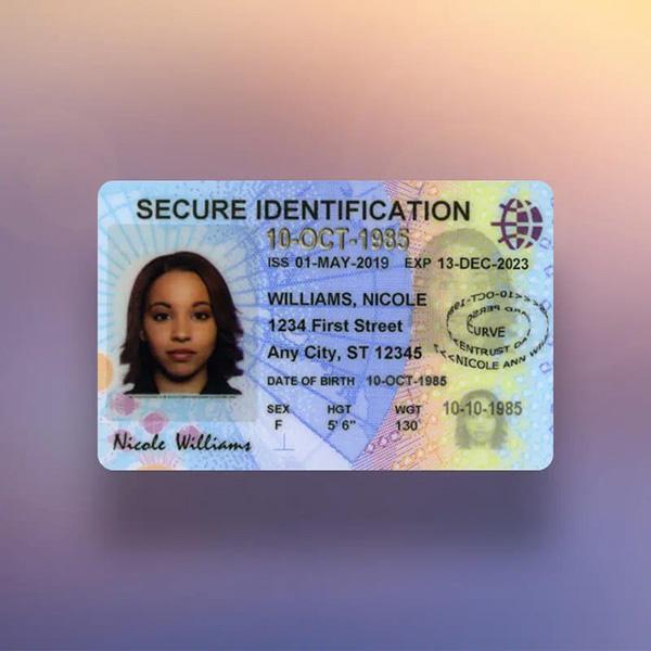 Government ID Cards